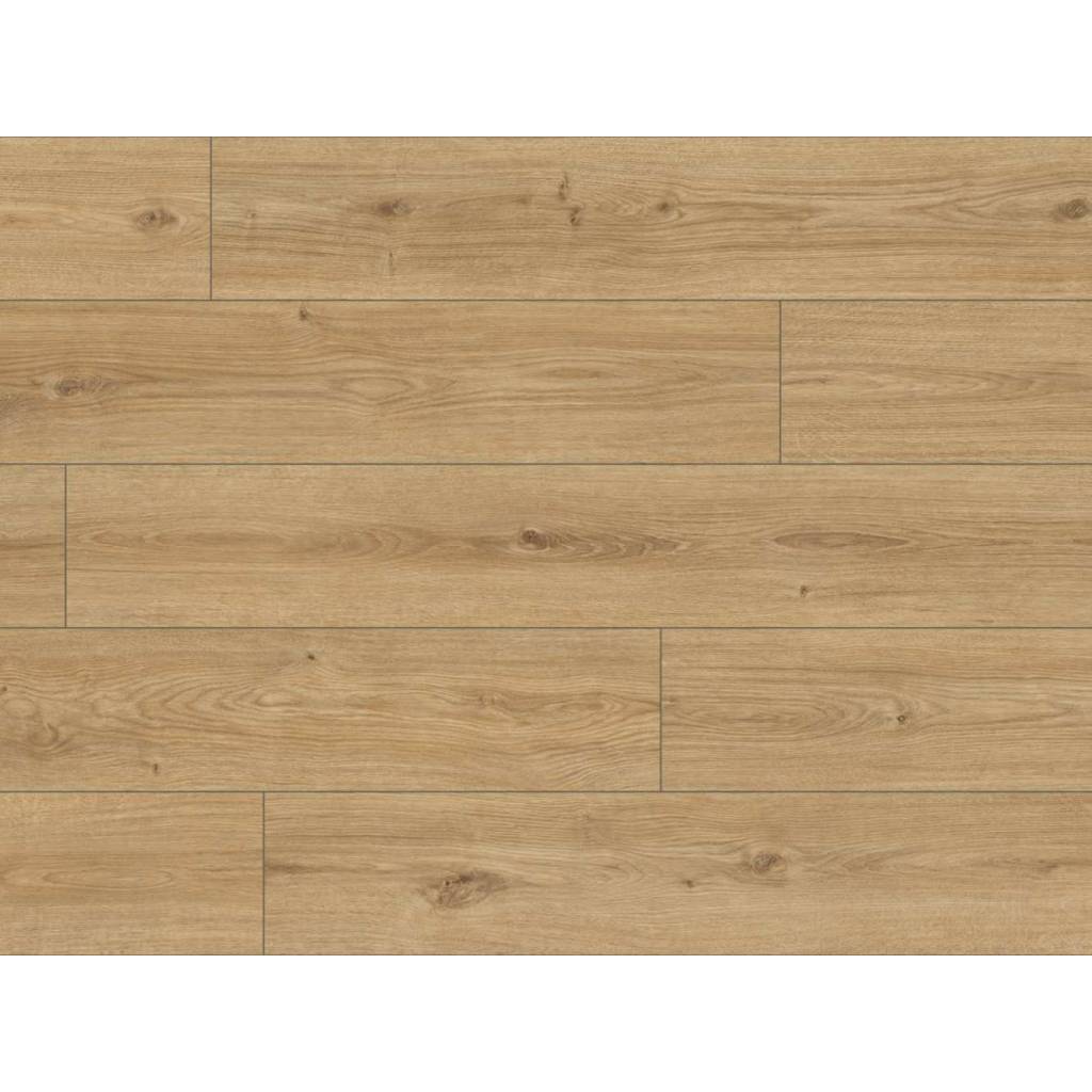 Panele podłogowe ze zintegrowanym podkładem Honigeiche 63680 AC5 9 mm 6 4003992611236 panele podlogowe ze zintegrowanym podkladem honigeiche 63680 classen 5