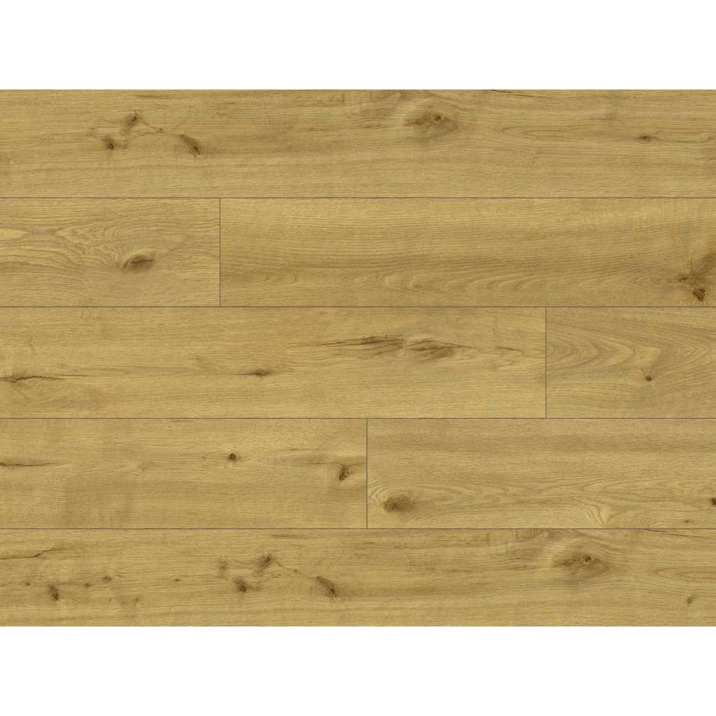 Panele winylowe ze zintegrowanym podkładem Tasmanian 65141 Klasa 34 5 mm TAK 5 4003992618983 panele winylowe ze zintegrowanym podkladem tasmanian 65141 classen 4