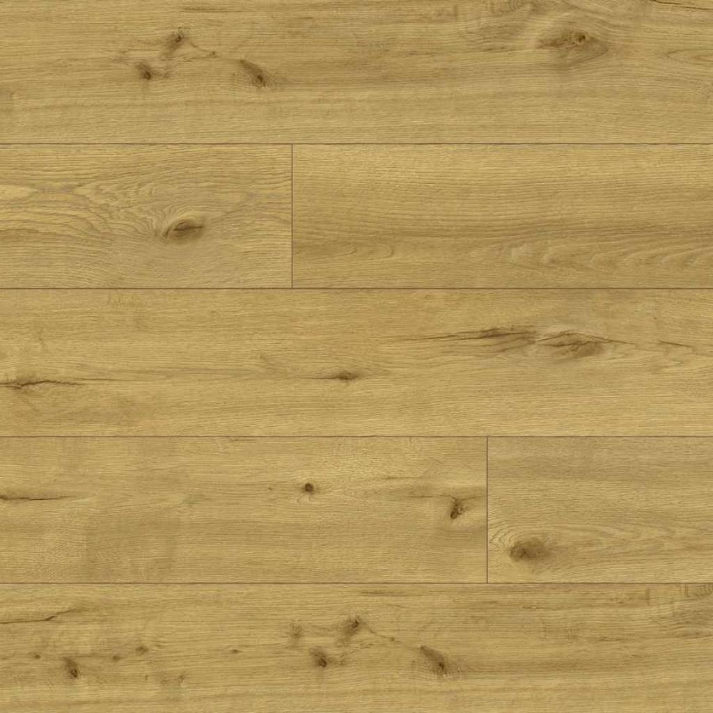Panele winylowe ze zintegrowanym podkładem Tasmanian 65141 Klasa 34 5 mm TAK 1 4003992618983 panele winylowe ze zintegrowanym podkladem tasmanian 65141 classen