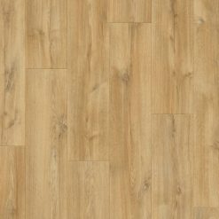 Panele podłogowe Estasi 777389 AC5 8 mm - Balterio - zbliżenie