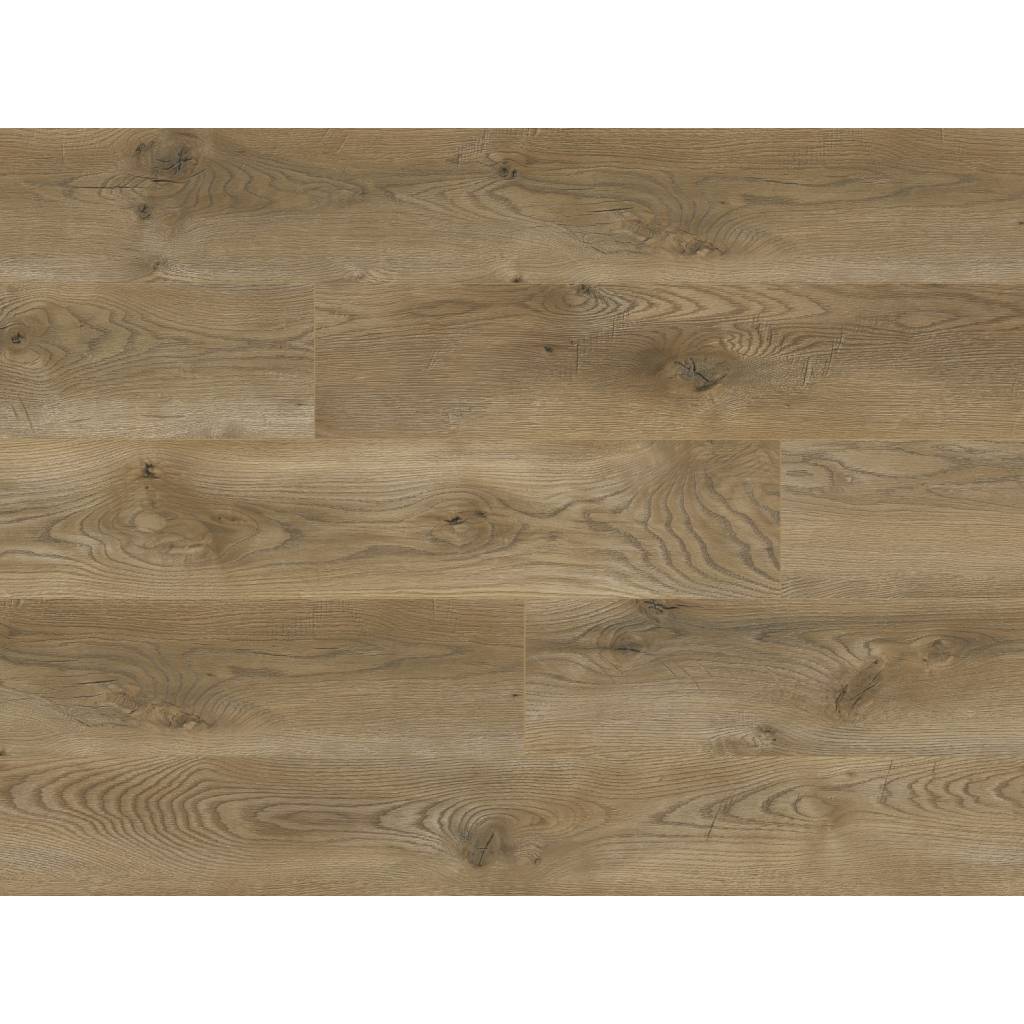 Panele podłogowe Dąb Palermo 64851 AC5 8 mm 3 64851 panele podlogowe dab palermo 64851 classen 2