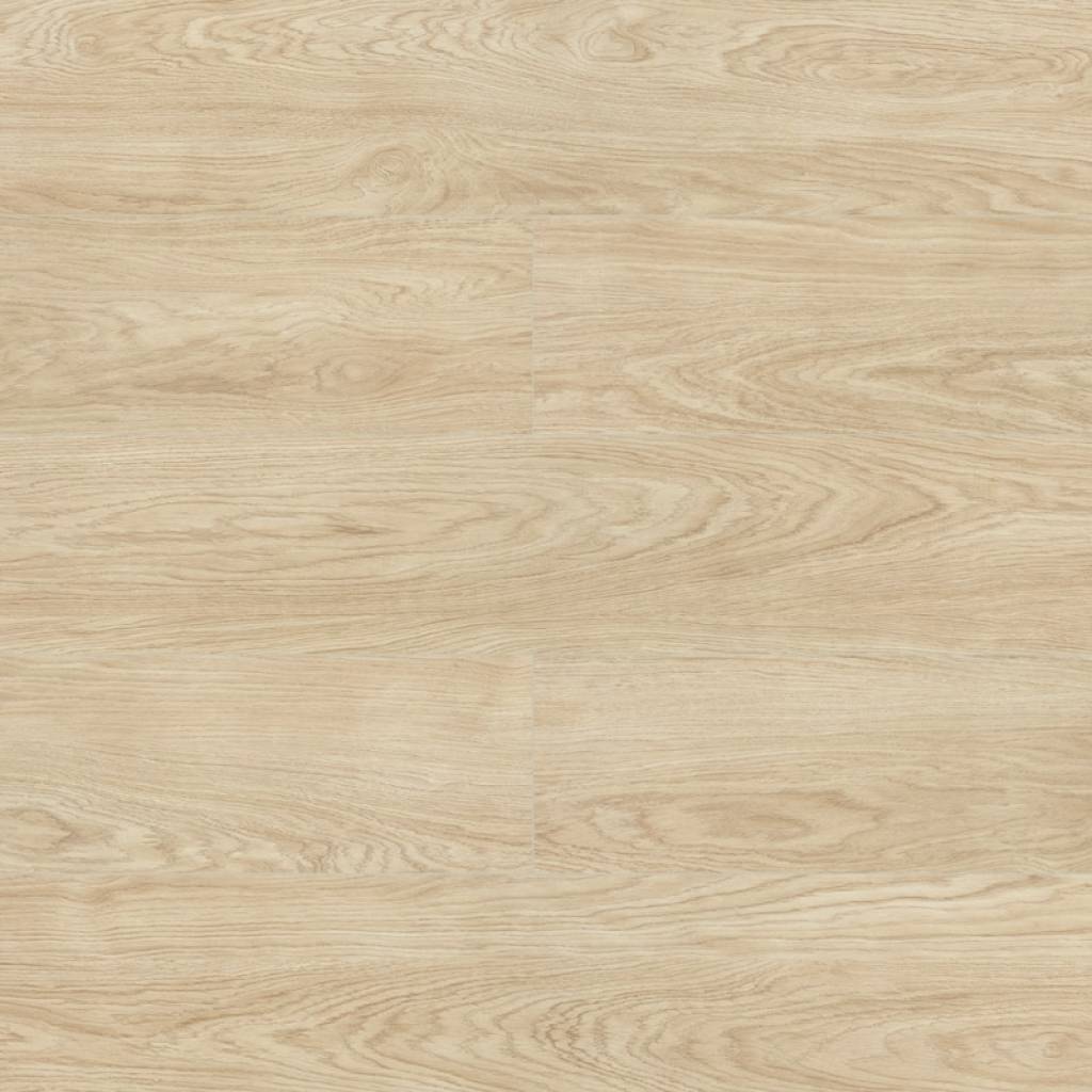 Panele podłogowe Dąb Tulip D4587 AC6 10 mm 1 d4587 panele podlogowe dab tulip d4587 swiss krono aurum